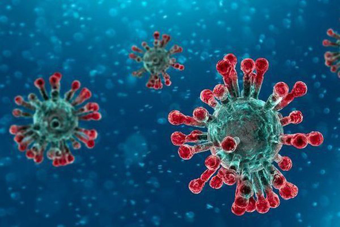 Hình ảnh virus corona mới - Ảnh: Internet